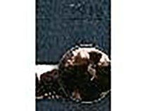 1918: Model komplexnho transformanho procesu? [Detail produktu]