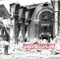 Bestii navzdory [Detail produktu]