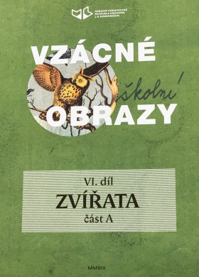 Vzcn koln obrazy VI. dl - Zvata A