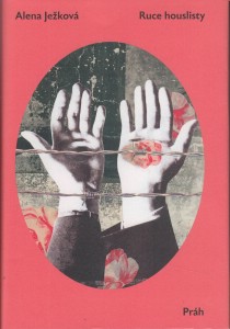 Ruce houslisty [Detail produktu]