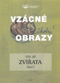 Vzcn koln obrazy VIII [Detail produktu]