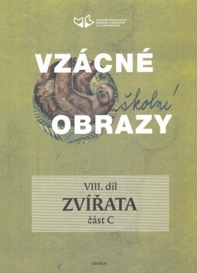 Vzcn koln obrazy VIII